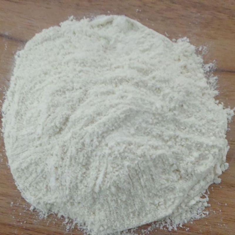 dehydrated onion powder