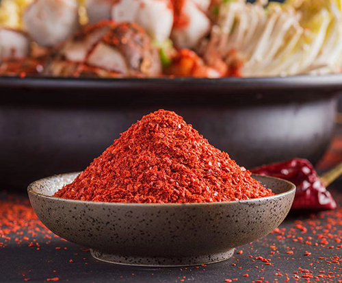 Chili cultivation opens the door to wealth
